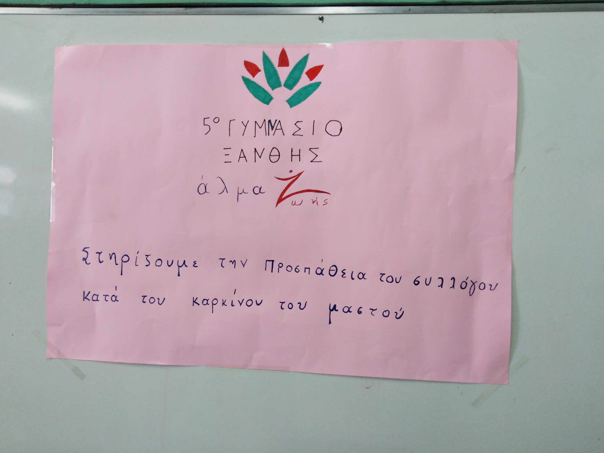 Μαθήτριες από την Ξάνθη δώρισαν τα μαλλιά τους για περούκες Μαθήτριες από την Ξάνθη δώρισαν τα μαλλιά τους για περούκες