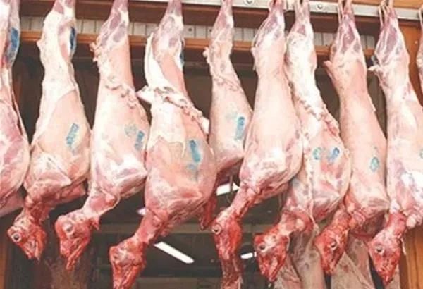 Θεσσαλονίκη: Πάνω από 1.000 αμνοερίφια χωρίς παραστατικά σε ελέγχους της Οικονομικής Αστυνομίας Θεσσαλονίκη: Πάνω από 1.000 αμνοερίφια χωρίς παραστατικά σε ελέγχους της Οικονομικής Αστυνομίας