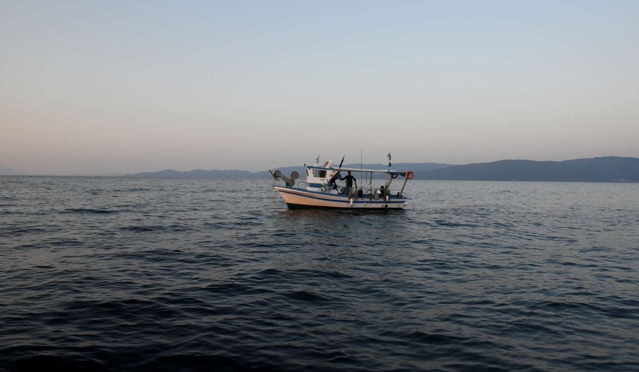 Γύθειο: Πήγε για ψάρεμα και αντίκρυσε καρχαρία πέντε μέτρων Γύθειο: Πήγε για ψάρεμα και αντίκρυσε καρχαρία πέντε μέτρων