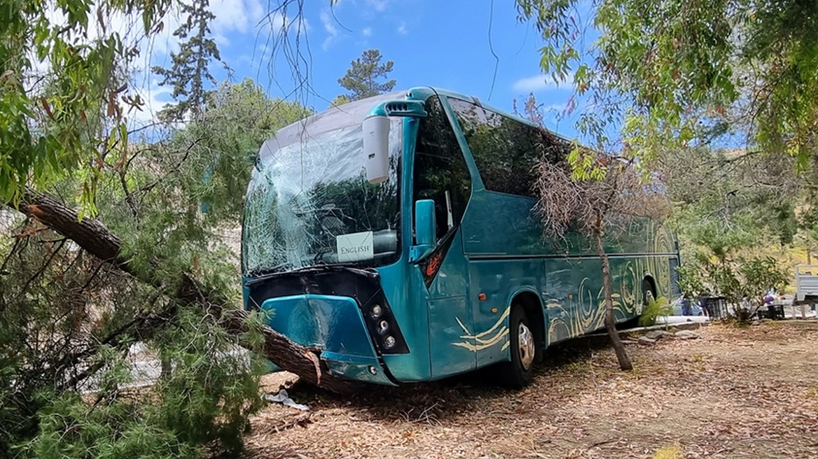 Αίγινα: Τροχαίο με σχολικό λεωφορείο – Τρεις μαθήτριες στο νοσοκομείο Αίγινα: Τροχαίο με σχολικό λεωφορείο – Τρεις μαθήτριες στο νοσοκομείο