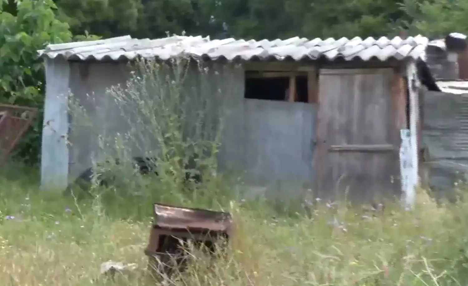 Καβάλα: Το πόρισμα του ιατροδιακστή για το θάνατο της 68χρονης κτηνοτρόφου Καβάλα: Το πόρισμα του ιατροδιακστή για το θάνατο της 68χρονης κτηνοτρόφου