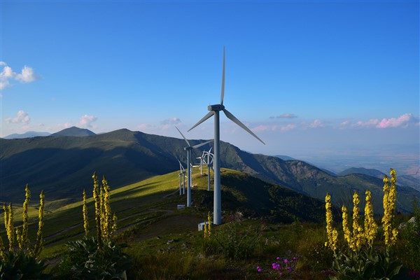 Άρνηση της Περιφέρειας ΑΜΘ για την εγκατάσταση ανεμογεννητριών στο Εθνικό Πάρκο της Δαδιάς Άρνηση της Περιφέρειας ΑΜΘ για την εγκατάσταση ανεμογεννητριών στο Εθνικό Πάρκο της Δαδιάς