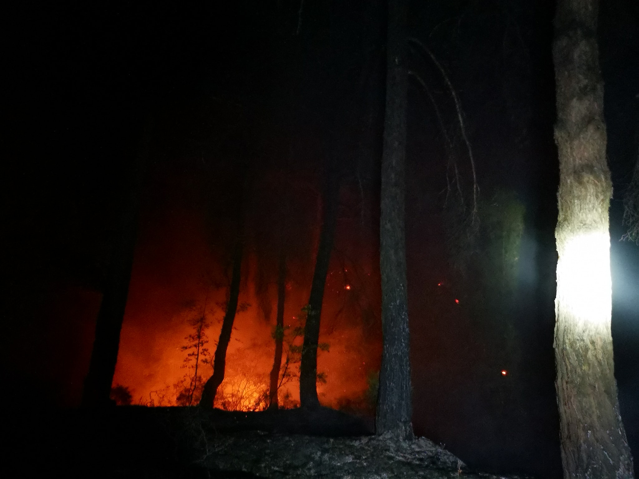 Έβρος: Φωτιά που περιορίστηκε ευτυχώς γρήγορα, ξέσπασε στις “3 Βρύσες Σουφλίου” (video)- Μεγάλη προσοχή για τις υπόλοιπες μέρες λόγω ενίσχυσης των ανέμων