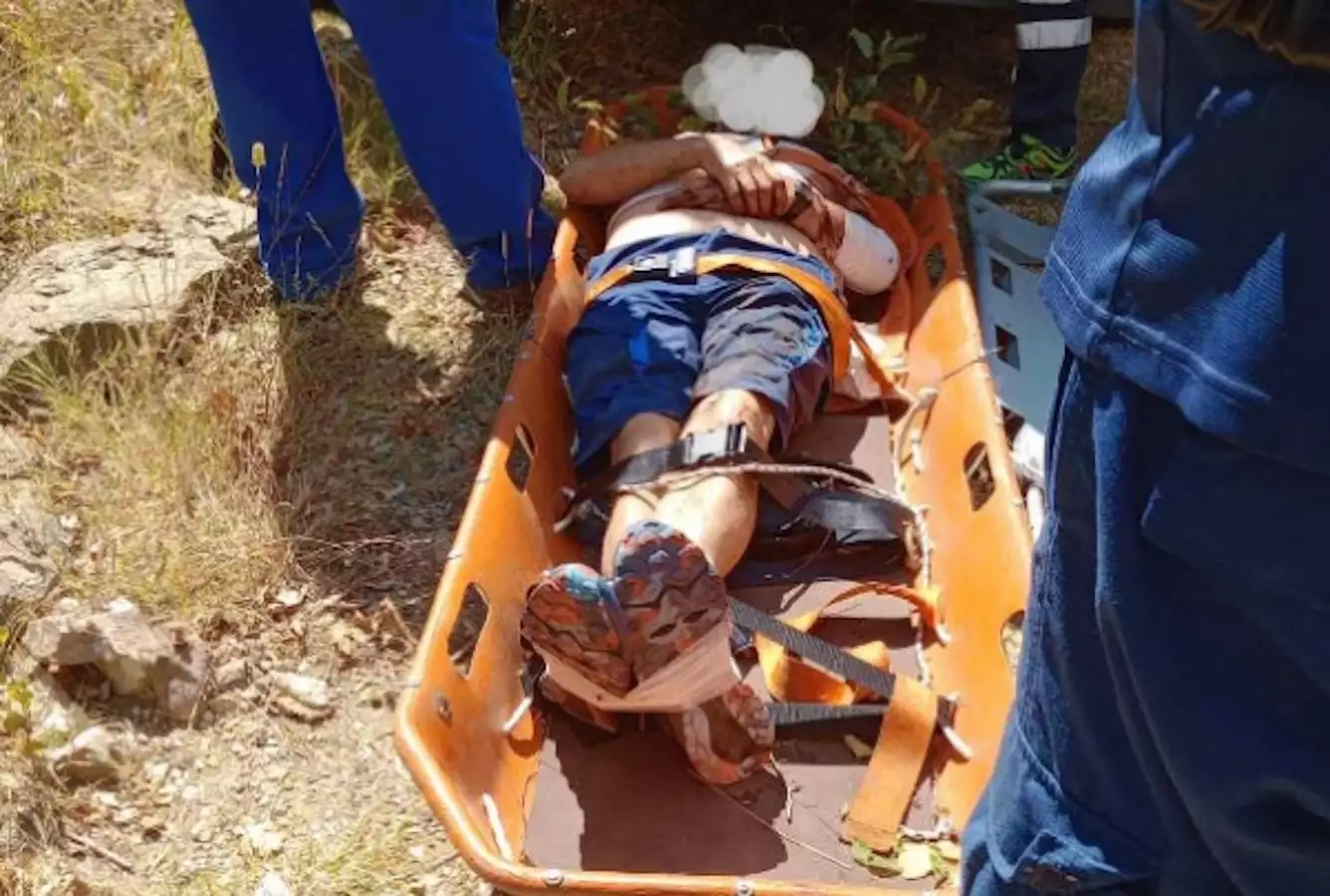 Άρτα: Αρκούδα επιτέθηκε σε κυνηγό και τον έριξε σε γκρεμό