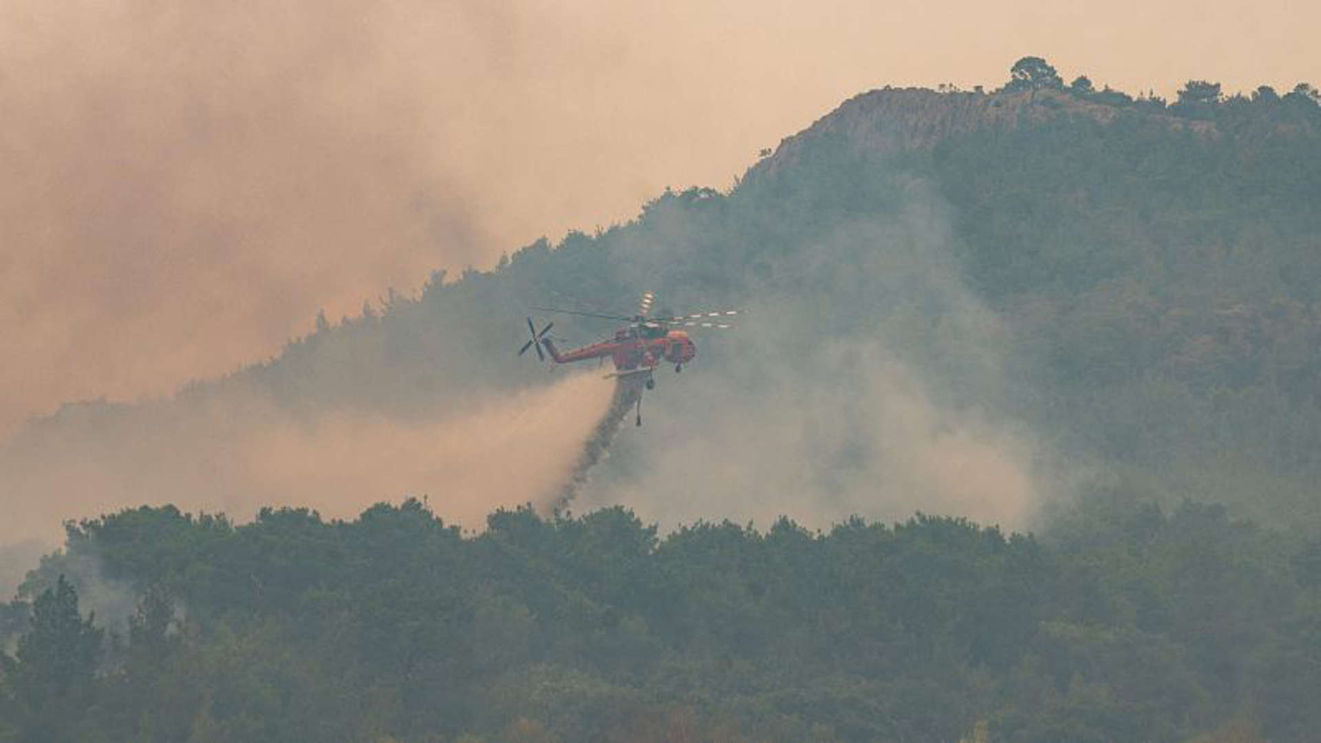 Απανθρακωμένοι βρέθηκαν 18 μετανάστες κοντά στο δάσος της Δαδιάς Απανθρακωμένοι βρέθηκαν 18 μετανάστες κοντά στο δάσος της Δαδιάς