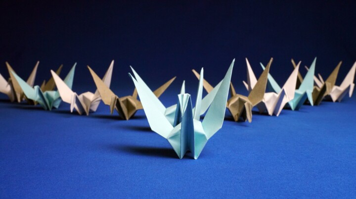 Έβρος: Έρχεται το “Origami workshop» στο Σουφλί! Έβρος: Έρχεται το “Origami workshop» στο Σουφλί!