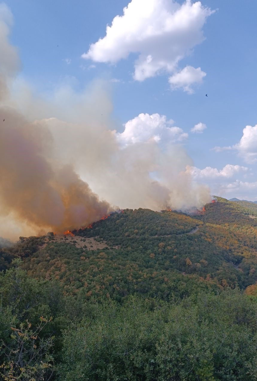 Αναζωπύρωση της φωτιάς στη Γρατινή Αναζωπύρωση της φωτιάς στη Γρατινή