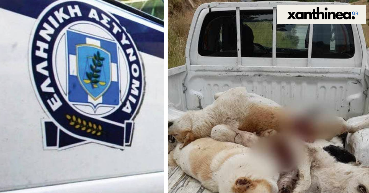 Ξάνθη: Νεκρά 7 σκυλιά από φόλες στην Ισαία Ξάνθη: Νεκρά 7 σκυλιά από φόλες στην Ισαία
