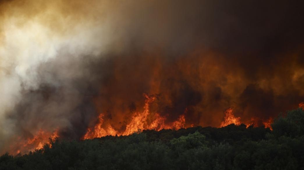 ΑΠΑΓΟΡΕΥΣΗ ΚΥΚΛΟΦΟΡΙΑΣ ΣΕ ΔΑΣΙΚΕΣ ΠΕΡΙΟΧΕΣ ΤΟΥ ΔΗΜΟΥ ΜΑΡΩΝΕΙΑΣ-ΣΑΠΩΝ ΛΟΓΩ ΠΟΛΥ ΥΨΗΛΟΥ ΚΙΝΔΥΝΟΥ ΠΥΡΚΑΓΙΑΣ ΤΗ ΠΕΜΠΤΗ 24 ΑΥΓΟΥΣΤΟΥ ΑΠΑΓΟΡΕΥΣΗ ΚΥΚΛΟΦΟΡΙΑΣ ΣΕ ΔΑΣΙΚΕΣ ΠΕΡΙΟΧΕΣ ΤΟΥ ΔΗΜΟΥ ΜΑΡΩΝΕΙΑΣ-ΣΑΠΩΝ ΛΟΓΩ ΠΟΛΥ ΥΨΗΛΟΥ ΚΙΝΔΥΝΟΥ ΠΥΡΚΑΓΙΑΣ ΤΗ ΠΕΜΠΤΗ 24 ΑΥΓΟΥΣΤΟΥ