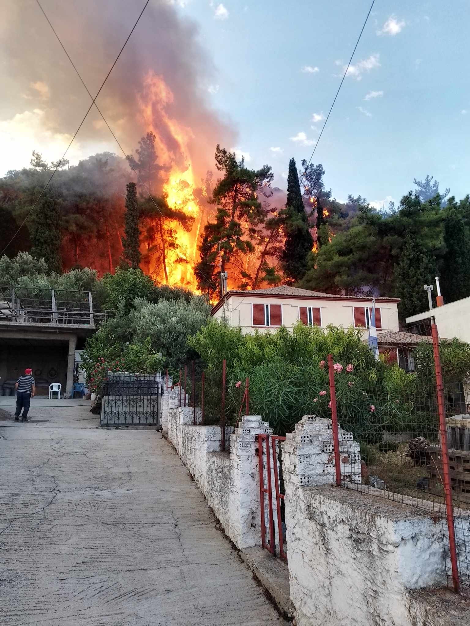 Πυρκαγιά σε δασική έκταση στον Ίασμο Ροδόπης Πυρκαγιά σε δασική έκταση στον Ίασμο Ροδόπης