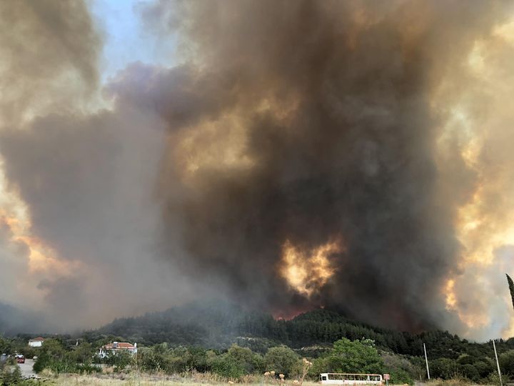 Φωτιά στη Ροδόπη: Μήνυμα 112 για εκκένωση οικισμών Φωτιά στη Ροδόπη: Μήνυμα 112 για εκκένωση οικισμών