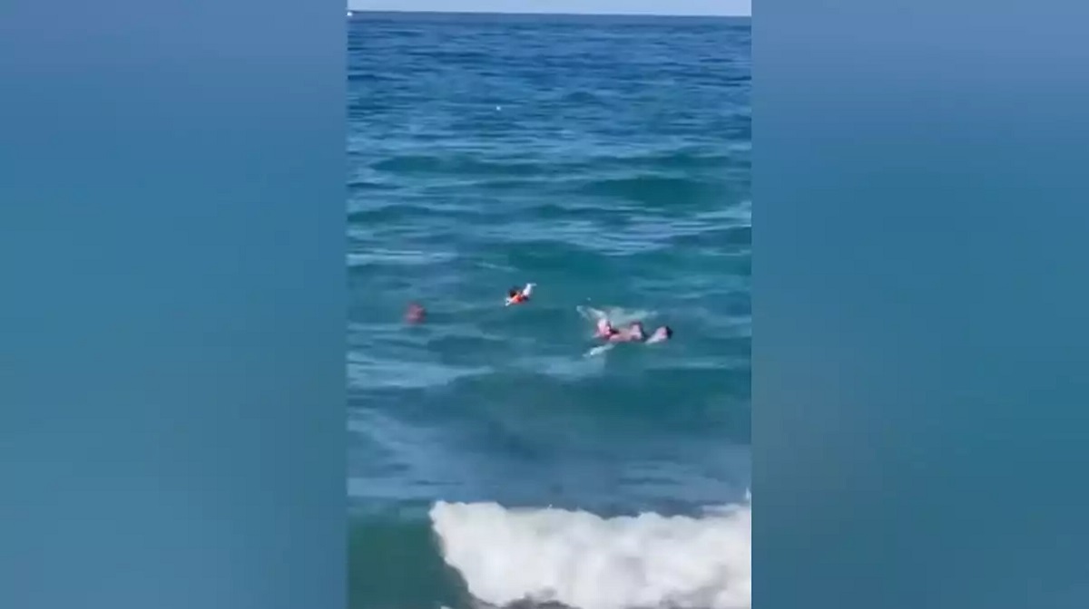 Χανιά: Ναυαγοσώστες έσωσαν από βέβαιο πνιγμό πολυμελή οικογένεια Χανιά: Ναυαγοσώστες έσωσαν από βέβαιο πνιγμό πολυμελή οικογένεια