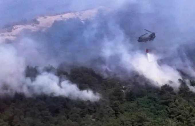 Για 11η μέρα μαίνεται η φωτιά στον Έβρο- Αναζωπυρώσεις και στη Ροδόπη Για 11η μέρα μαίνεται η φωτιά στον Έβρο- Αναζωπυρώσεις και στη Ροδόπη