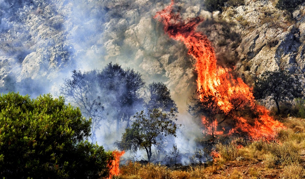 Να κηρυχθεί η Περιφέρεια ΑΜ-Θ σε κατάσταση έκτακτης ανάγκης ζητούν αγρότες και κτηνοτρόφοι (video) Να κηρυχθεί η Περιφέρεια ΑΜ-Θ σε κατάσταση έκτακτης ανάγκης ζητούν αγρότες και κτηνοτρόφοι (video)