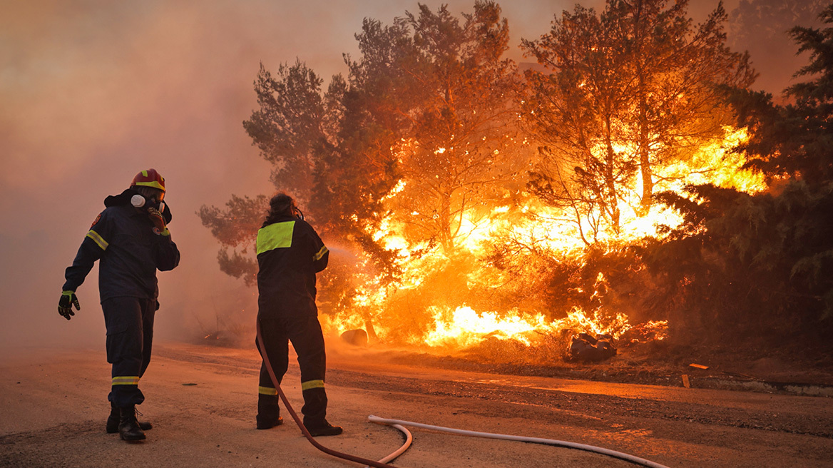 Αλεξανδρούπολη: Άλλοι 8 πυροσβέστες, μετά τον Διοικητή Σπύρο Κούτρα, διακομίσθηκαν στο Νοσοκομείο Αλεξανδρούπολης Αλεξανδρούπολη: Άλλοι 8 πυροσβέστες, μετά τον Διοικητή Σπύρο Κούτρα, διακομίσθηκαν στο Νοσοκομείο Αλεξανδρούπολης