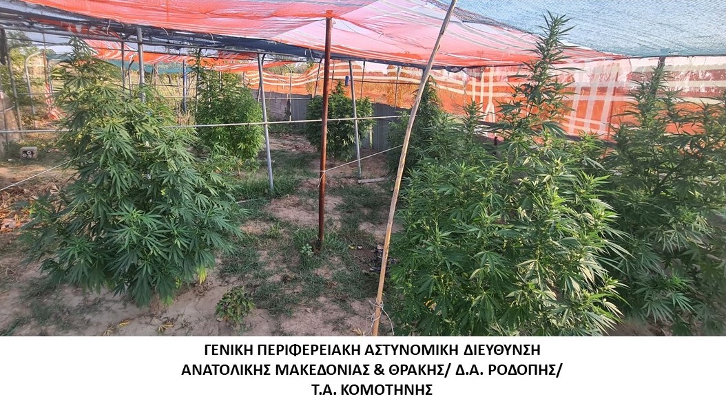 Σύλληψη δύο ημεδαπών για παραβάσεις των νόμων περί ναρκωτικών και περί όπλων Σύλληψη δύο ημεδαπών για παραβάσεις των νόμων περί ναρκωτικών και περί όπλων
