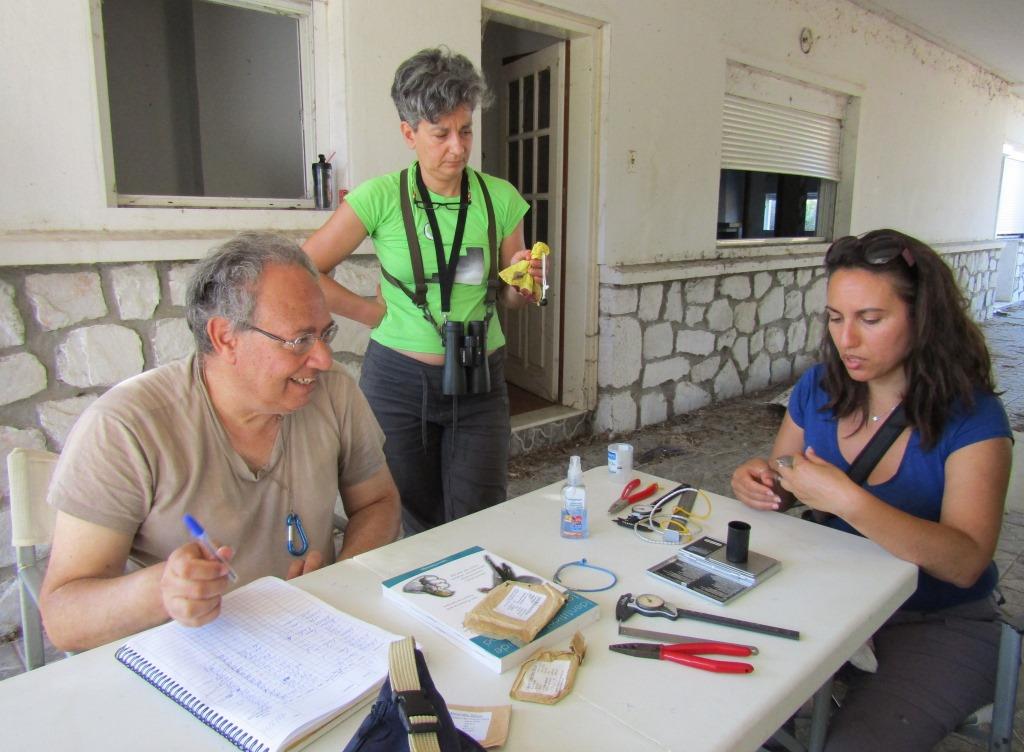 ΔΑΚΤΥΛΙΩΣΕΙΣ ΣΤΡΟΥΘΙΟΜΟΡΦΩΝ ΠΤΗΝΩΝ ΣΤΟ ΔΕΛΤΑ ΤΟΥ ΝΕΣΤΟΥ ΔΑΚΤΥΛΙΩΣΕΙΣ ΣΤΡΟΥΘΙΟΜΟΡΦΩΝ ΠΤΗΝΩΝ ΣΤΟ ΔΕΛΤΑ ΤΟΥ ΝΕΣΤΟΥ