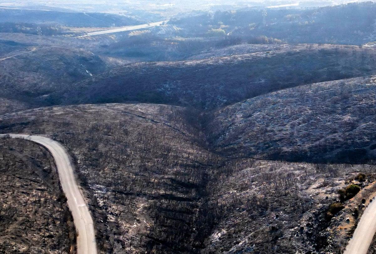 Πρωτοβουλία για την μεταπυρική αποκατάσταση του δάσους της Δαδιάς αναλαμβάνει το Τμήμα Δασολογίας, Διαχείρισης Περιβάλλοντος & Φυσικών Πόρων του ΔΠΘ στην Ορεστιάδα Πρωτοβουλία για την μεταπυρική αποκατάσταση του δάσους της Δαδιάς αναλαμβάνει το Τμήμα Δασολογίας, Διαχείρισης Περιβάλλοντος & Φυσικών Πόρων του ΔΠΘ στην Ορεστιάδα