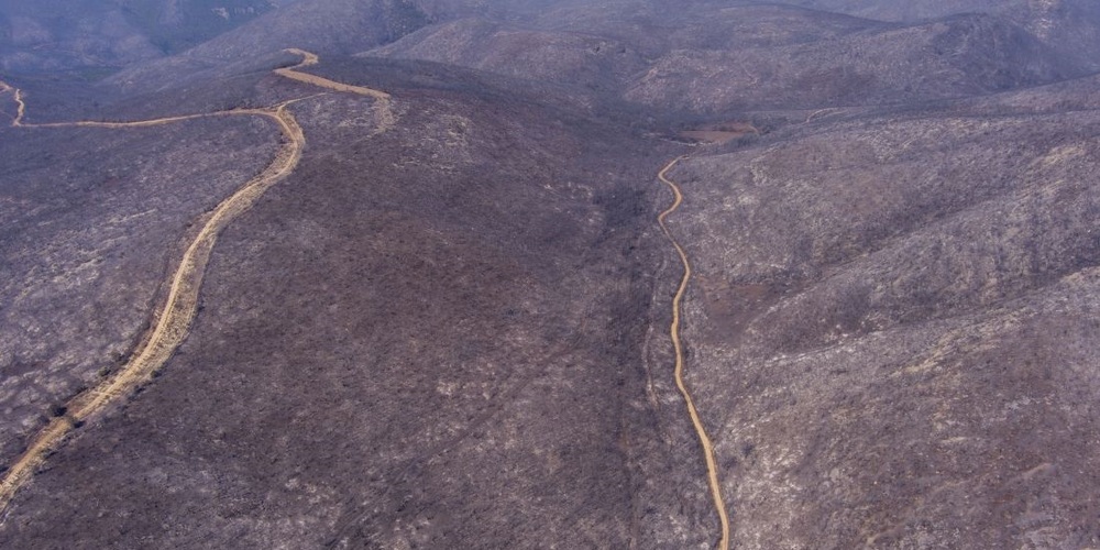 Απάντηση της Ορνιθολογικής Εταιρίας στο Δ.Τ. της Αποκεντρωμένης Διοίκησης Μακεδονίας-Θράκης για την εκμετάλλευση των καμμένων στον Έβρο Απάντηση της Ορνιθολογικής Εταιρίας στο Δ.Τ. της Αποκεντρωμένης Διοίκησης Μακεδονίας-Θράκης για την εκμετάλλευση των καμμένων στον Έβρο