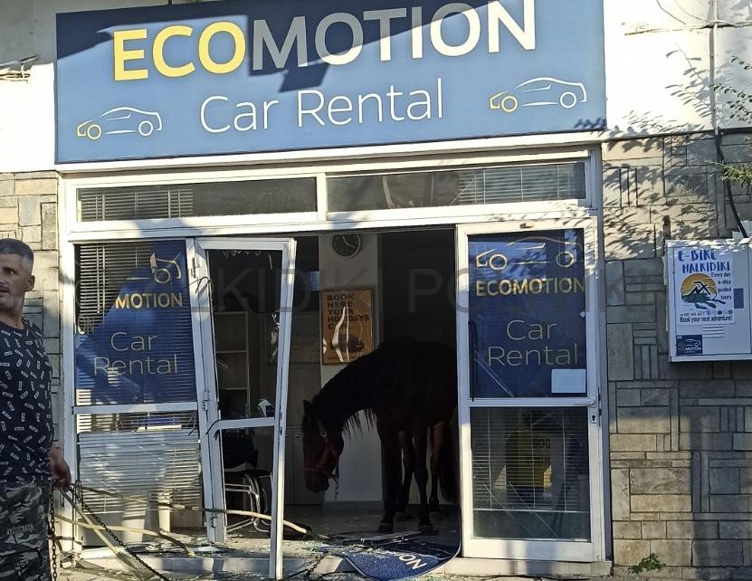 Άλογο εισέβαλε σε κατάστημα στη Νικήτη Χαλκιδικής Άλογο εισέβαλε σε κατάστημα στη Νικήτη Χαλκιδικής