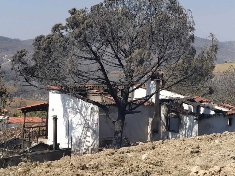 Ακόμα χωρίς μέτρα προστασίας τα καμένα οικοσυστήματα στον Έβρο ! Ακόμα χωρίς μέτρα προστασίας τα καμένα οικοσυστήματα στον Έβρο !