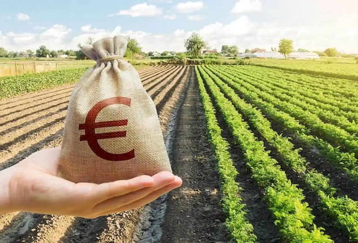 Αγροτικά: Αυξημένες επιδοτήσεις σε κατά κύριο επάγγελμα αγρότες-Παραδείγματα με πίνακες
