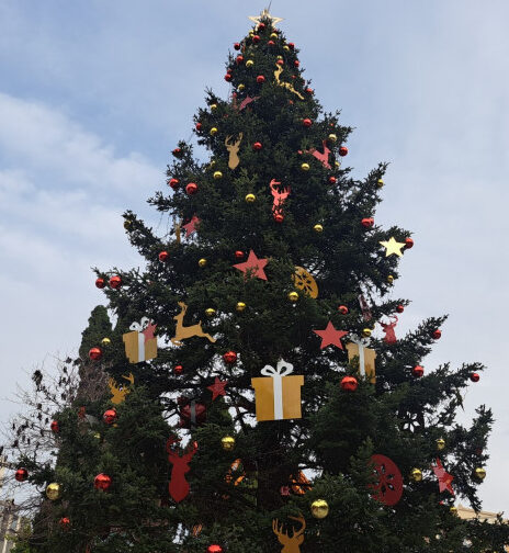 Χριστούγεννα 2023: Γιορτές σαν παραμύθι στον Δήμο Μαρωνείας-Σαπών-Όλο το πρόγραμμα εκδηλώσεων