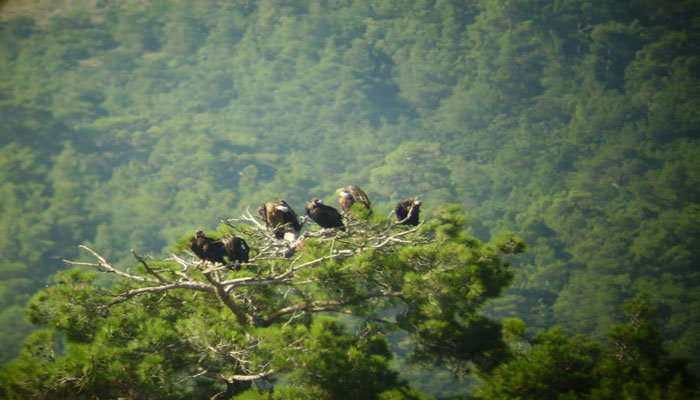 Δαδιά: Έρχεται η 3η Συνεδρίαση της Ειδικής Επιτροπής για την ανασυγκρότηση του Έβρου Δαδιά: Έρχεται η 3η Συνεδρίαση της Ειδικής Επιτροπής για την ανασυγκρότηση του Έβρου