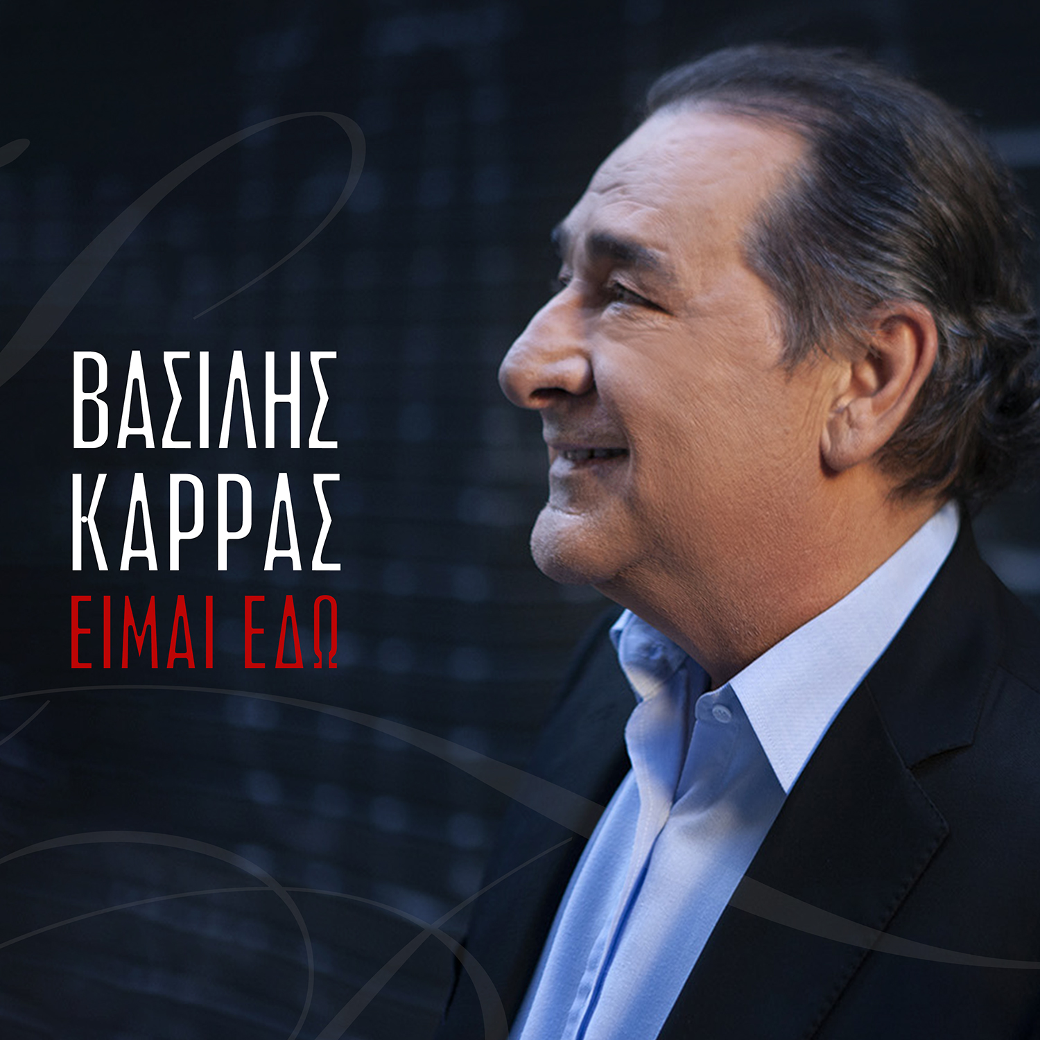 ΒΑΣΙΛΗΣ ΚΑΡΡΑΣ / ΚΑΚΕΣ ΣΥΝΗΘΕΙΕΣ ΒΑΣΙΛΗΣ ΚΑΡΡΑΣ / ΚΑΚΕΣ ΣΥΝΗΘΕΙΕΣ