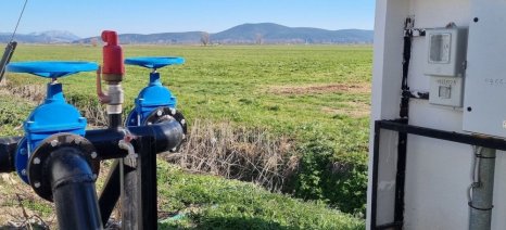 Αγροτικό ρεύμα: Νέες διευκρινίσεις Μαρινάκη και Σκέρτσου για τα νέα μέτρα στήριξης Αγροτικό ρεύμα: Νέες διευκρινίσεις Μαρινάκη και Σκέρτσου για τα νέα μέτρα στήριξης