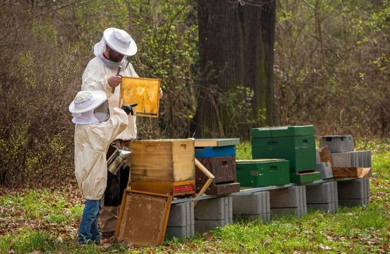 Ερώτηση στη Βουλή του βουλευτή Ροδόπης Οζγκιούρ Φερχάτ για τους μελισσοκόμους της ΠΕ Ροδόπης