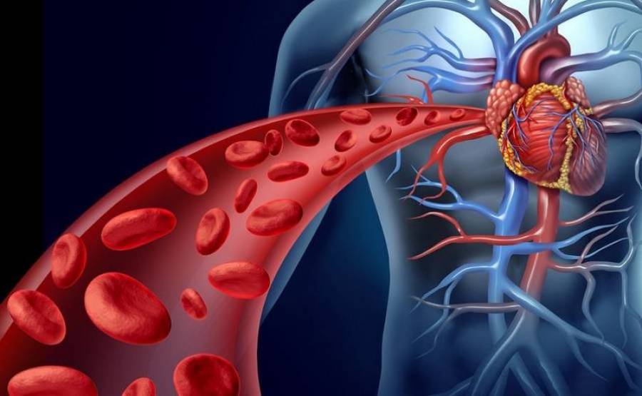5 απλές κινήσεις για να μειώσουμε τη συσσώρευσης πλάκας στις αρτηρίες μας-Τι μας συμβουλεύουν οι καρδιολόγοι 5 απλές κινήσεις για να μειώσουμε τη συσσώρευσης πλάκας στις αρτηρίες μας-Τι μας συμβουλεύουν οι καρδιολόγοι