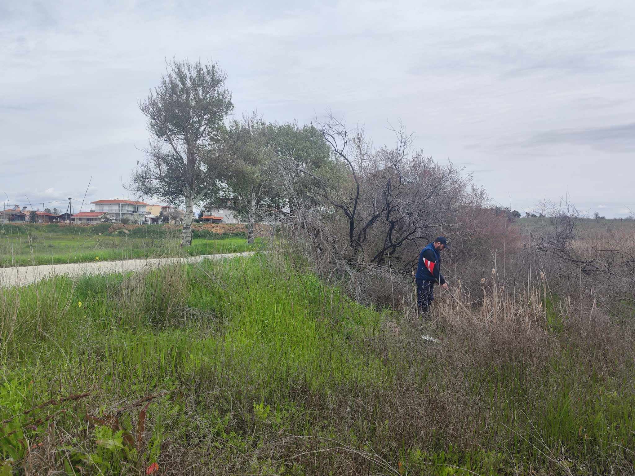 Ξεκίνησε η καταπολέμηση των κουνουπιών στην Περιφέρεια Ανατολικής Μακεδονίας και Θράκης