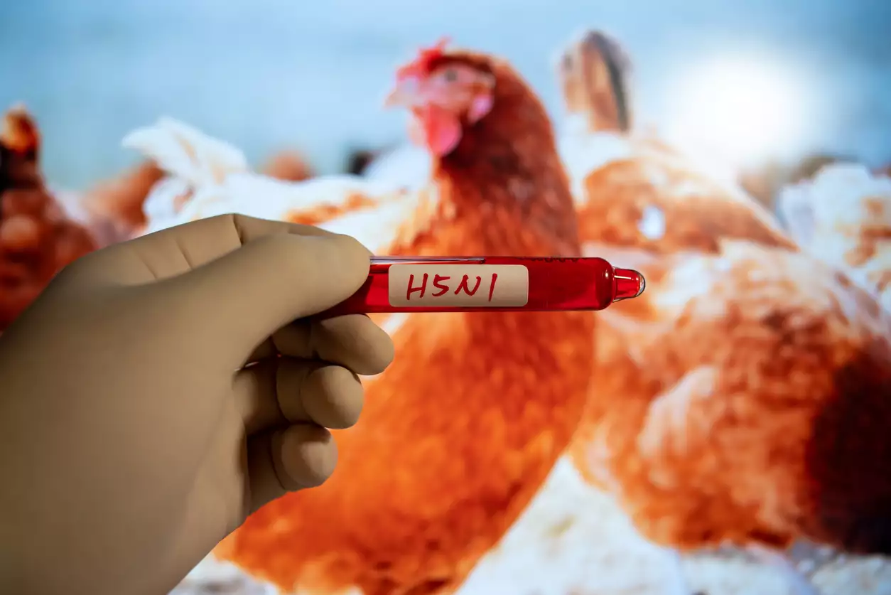 Παγκόσμια ανησυχία για την μετάδοση της γρίπης των πτηνών στους ανθρώπους – “Θα γίνει σαν τον Covid” προειδοποιεί ο ΠΟΥ