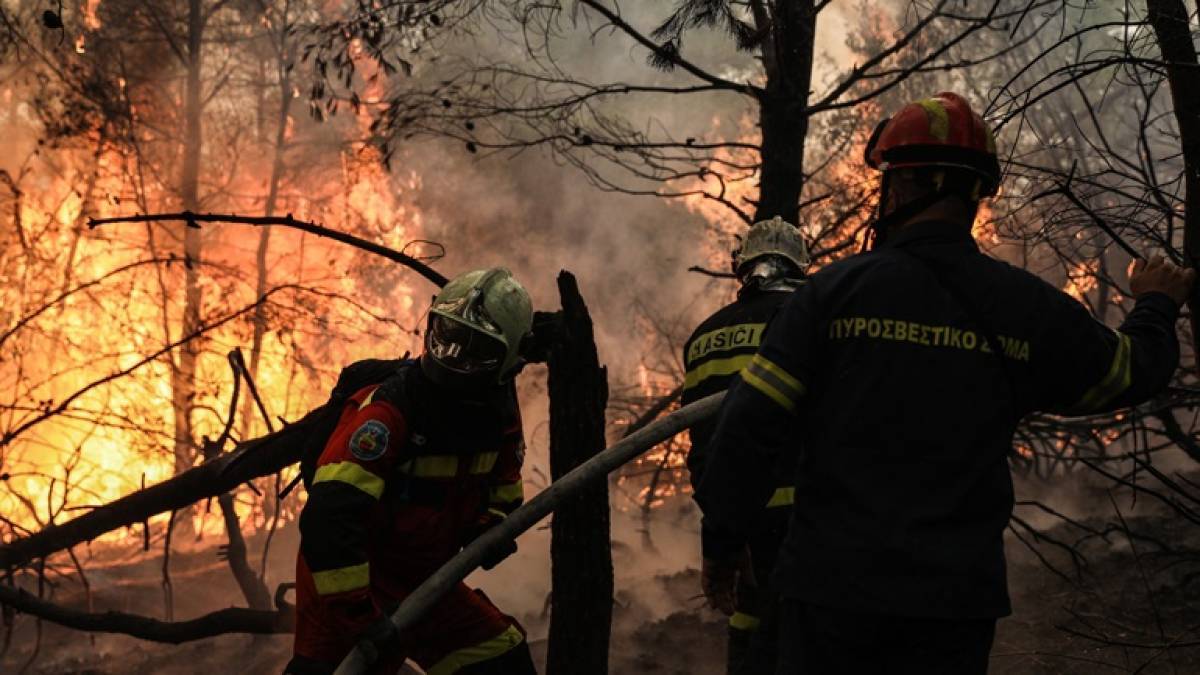 Νέο τμήμα «Δασοκομάντος» με έδρα την Αλεξανδρούπολη θα λειτουργήσει από φέτος στην ΑΜΘ