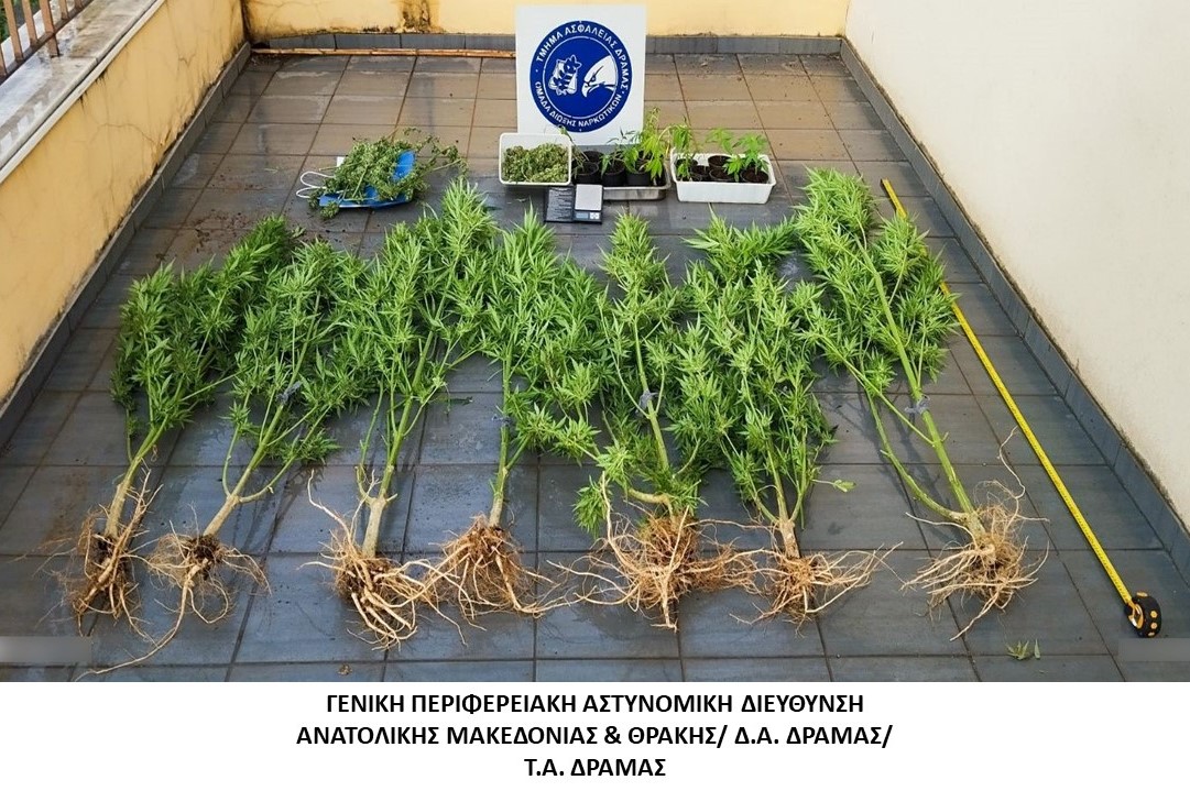 Συνελήφθη ημεδαπός κατηγορούμενος για καλλιέργεια και διακίνηση ναρκωτικών Συνελήφθη ημεδαπός κατηγορούμενος για καλλιέργεια και διακίνηση ναρκωτικών