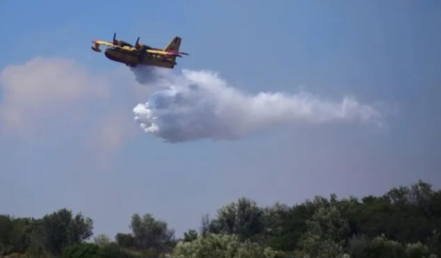 Υπό έλεγχο η φωτιά στη Νιγρίτα, συνελήφθη 30χρονος για εμπρησμό Υπό έλεγχο η φωτιά στη Νιγρίτα, συνελήφθη 30χρονος για εμπρησμό