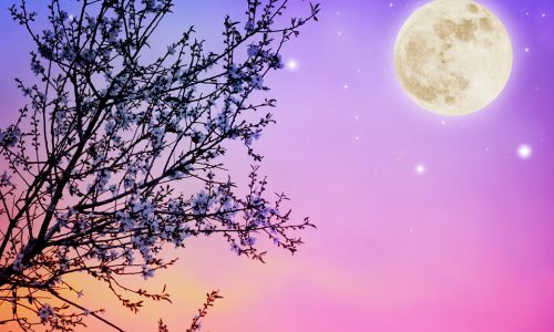 Πανσέληνος στον Αιγόκερω: Ποια 4 ζώδια την περνούν …ζάχαρη! Πανσέληνος στον Αιγόκερω: Ποια 4 ζώδια την περνούν …ζάχαρη!
