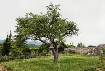 ΕΓΚΥΚΛΙΟΣ 109ῃ Θέμα: «Προστασία Φυσικοῦ Περιβάλλοντος κατά τὸ θέρος» ΕΓΚΥΚΛΙΟΣ 109ῃ Θέμα: «Προστασία Φυσικοῦ Περιβάλλοντος κατά τὸ θέρος»