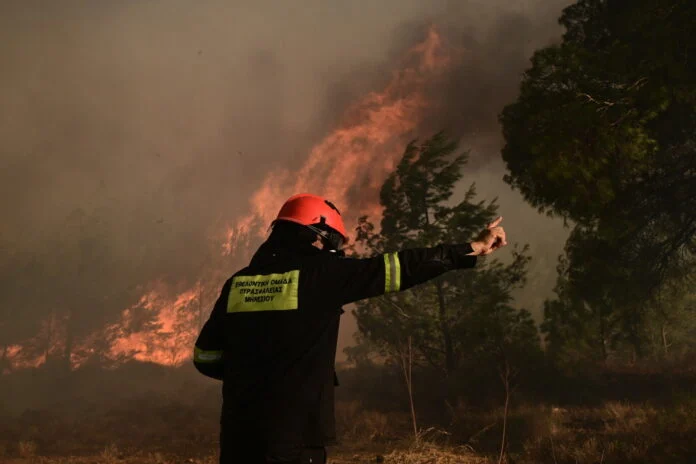 ΣΥΡΙΖΑ: Εξαπολύει νέα σκληρή επίθεση στην κυβέρνηση με αιχμή την πολιτική της για τις πυρκαγιές ΣΥΡΙΖΑ: Εξαπολύει νέα σκληρή επίθεση στην κυβέρνηση με αιχμή την πολιτική της για τις πυρκαγιές