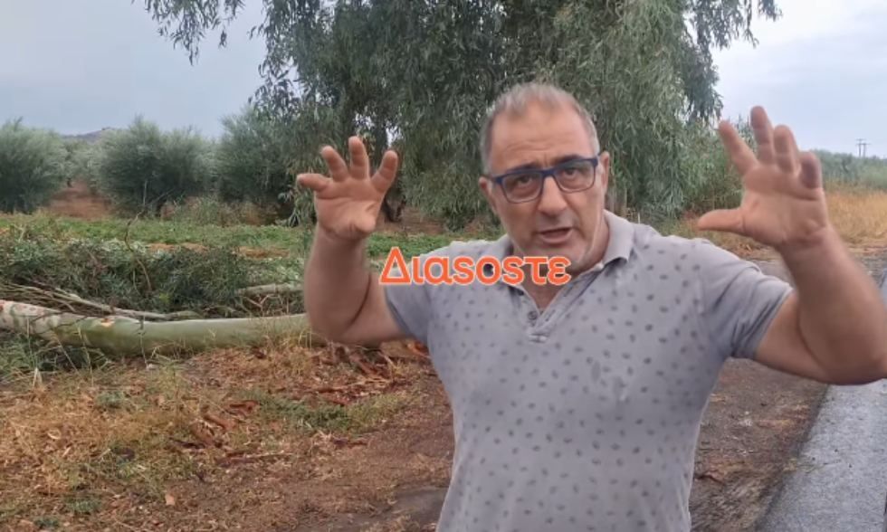 Ηράκλειο: Παραγωγός γλύτωσε από πτώση τεράστιου ευκάλυπτου Ηράκλειο: Παραγωγός γλύτωσε από πτώση τεράστιου ευκάλυπτου