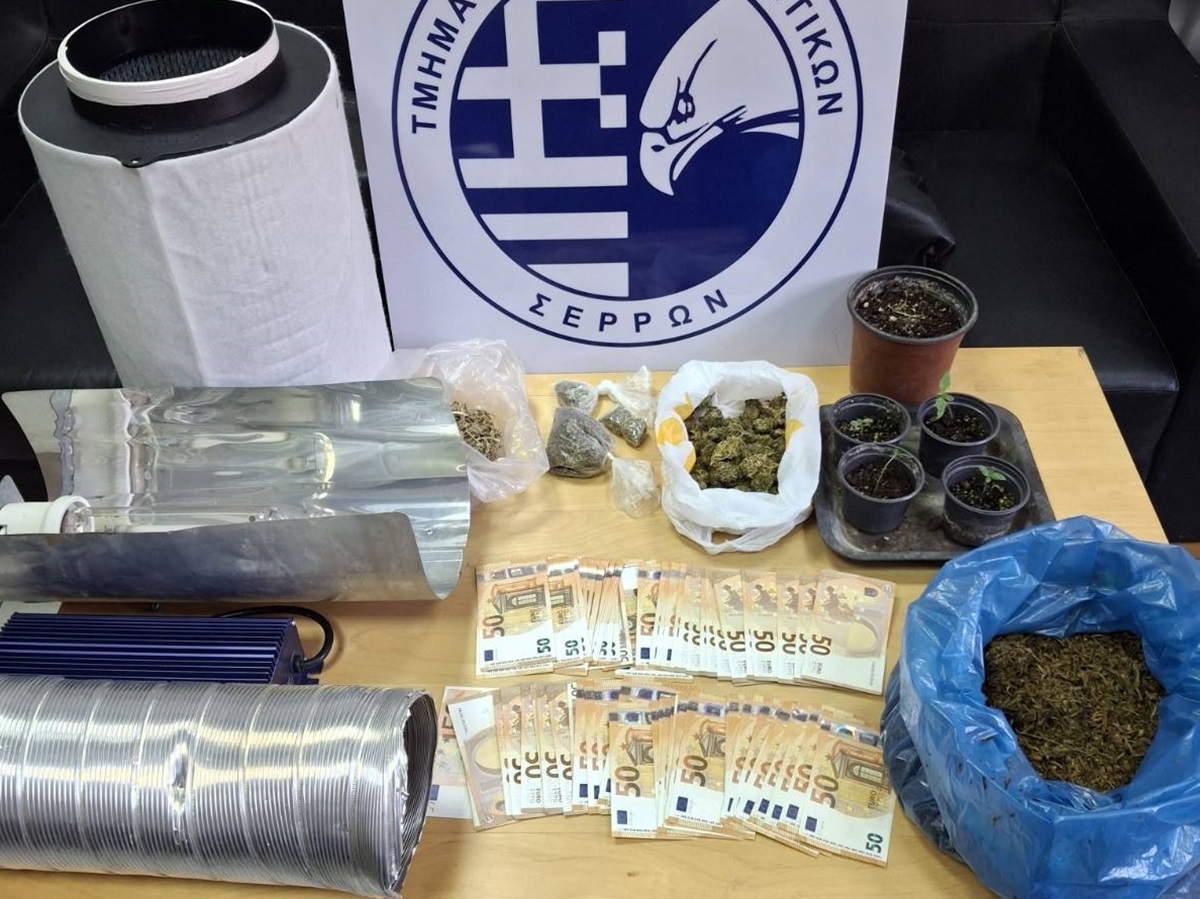Θεσσαλονίκη: 67χρονος είχε μίνι εργαστήριο καλλιέργειας κάνναβης στο υπόγειο του Θεσσαλονίκη: 67χρονος είχε μίνι εργαστήριο καλλιέργειας κάνναβης στο υπόγειο του