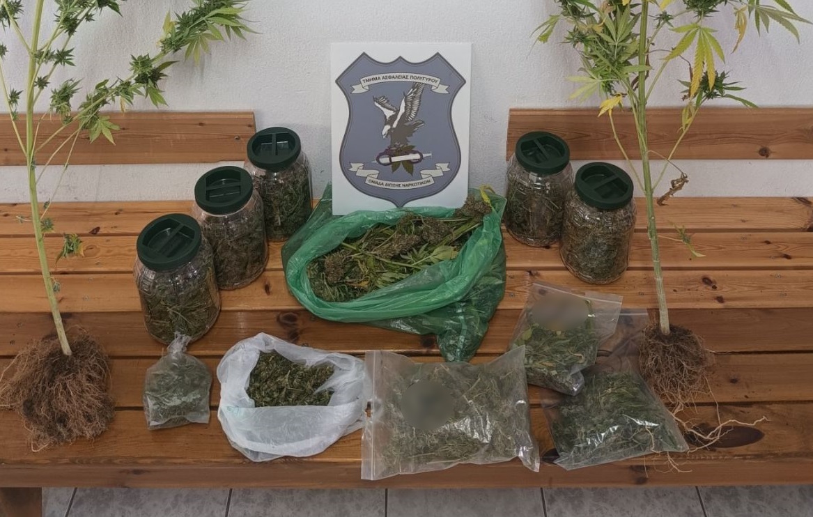 Χαλκιδική: Έκρυβαν στα σπίτια τους χασίς και καλλιεργούσαν κάνναβη σε χωράφια Χαλκιδική: Έκρυβαν στα σπίτια τους χασίς και καλλιεργούσαν κάνναβη σε χωράφια