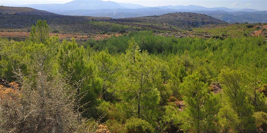 Αναδασμός 15.000 στρεμμάτων σε οικισμούς του Διδυμοτείχου
