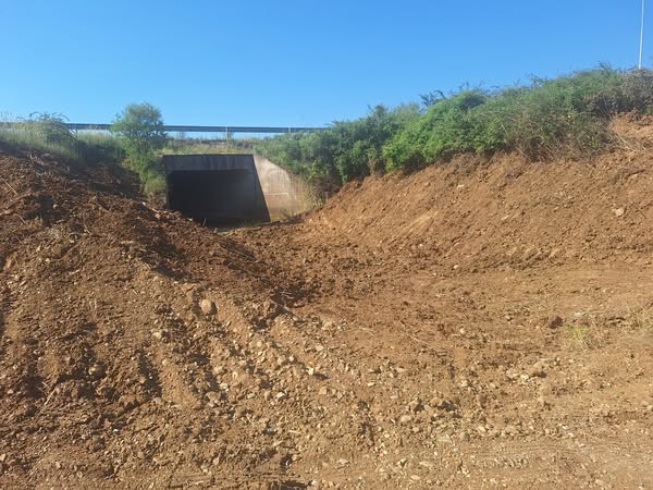 H ΠΑΜΘ συνεχίζει να θωρακίζει αντιπλημμυρικά τη Ροδόπη- Σε πλήρη εξέλιξη ο καθαρισμός του ρέματος Θρυλορίου H ΠΑΜΘ συνεχίζει να θωρακίζει αντιπλημμυρικά τη Ροδόπη- Σε πλήρη εξέλιξη ο καθαρισμός του ρέματος Θρυλορίου