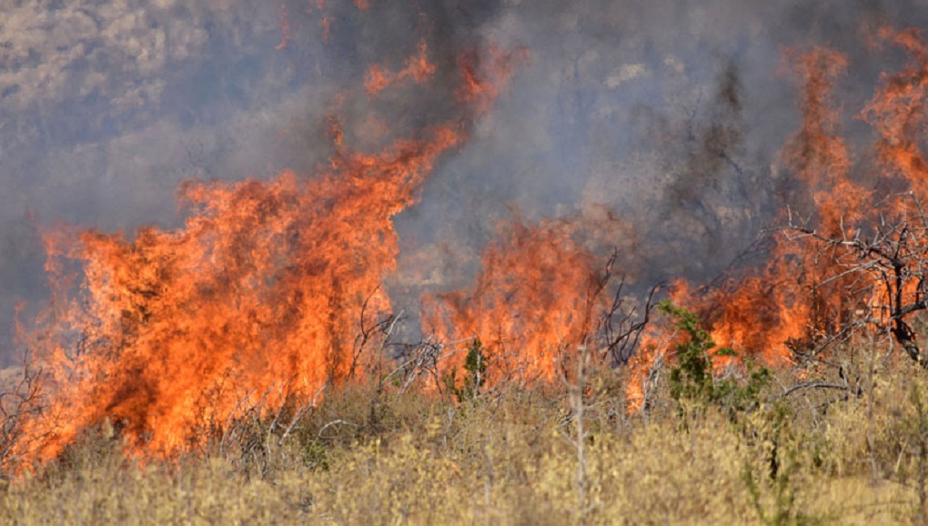 Βεβαιώθηκε πρόστιμο 1.125 ευρώ από την Πυροσβεστική γιατί έκαιγε ξερά χόρτα Βεβαιώθηκε πρόστιμο 1.125 ευρώ από την Πυροσβεστική γιατί έκαιγε ξερά χόρτα