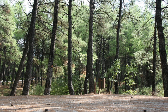 ΠΑΜΘ: Απαγόρευση πρόσβασης και κυκλοφορίας σε 7 δασικές περιοχές του νομού Ροδόπης λόγω κινδύνου εκδήλωσης πυρκαγιάς