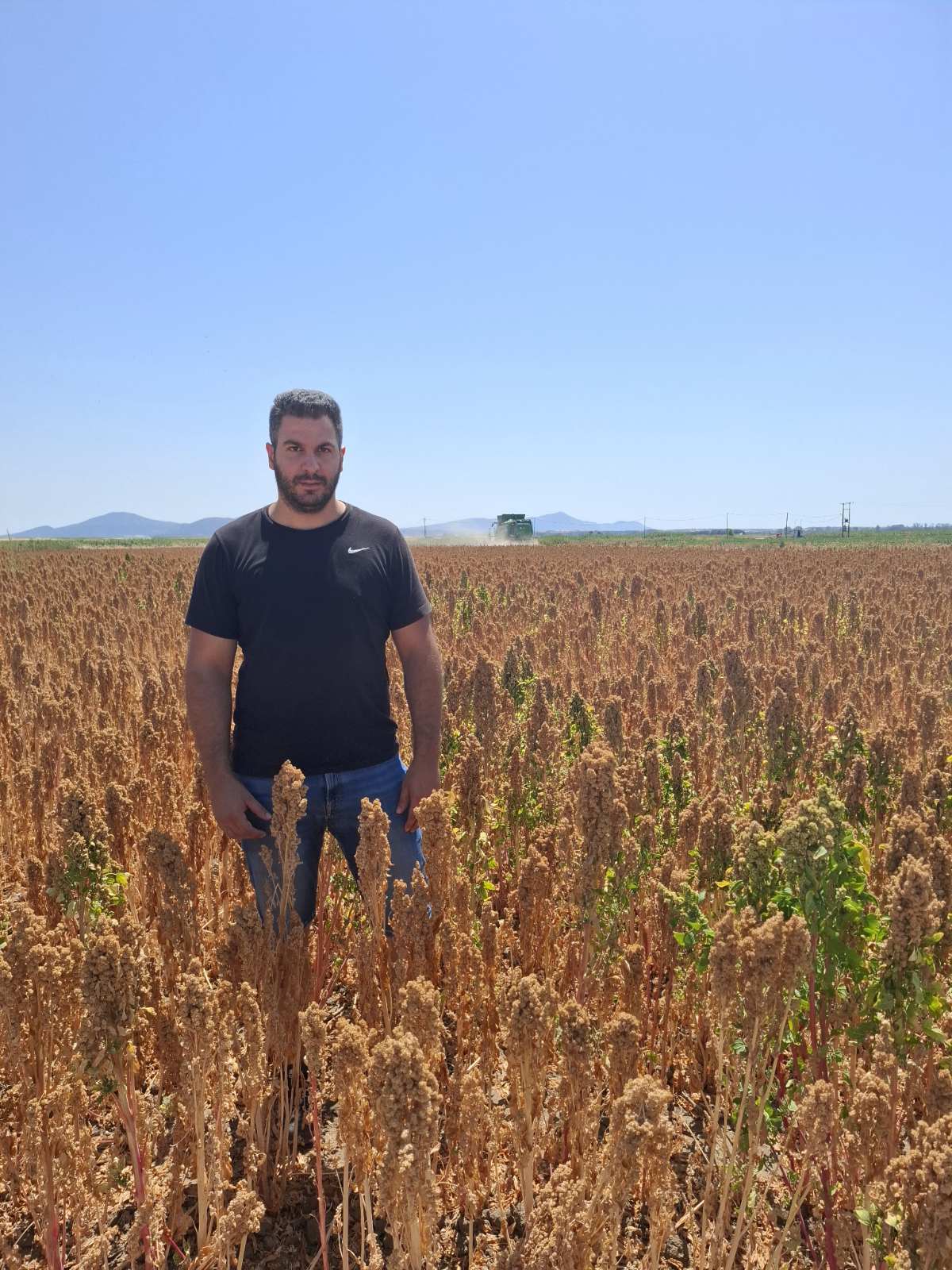 Ξεκίνησε θετικά η συγκομιδή κινόα στη Ροδόπη. Ικανοποίηση στους παραγωγούς για τις πρώτες αποδόσεις