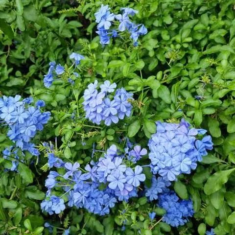 “Σαν να μπαίνει η άνοιξη” – Πότε ξεκινά επίσημα η εαρινή ισημερία