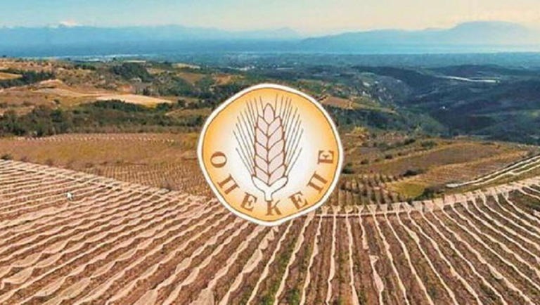 ΟΠΕΚΕΠΕ: Αρχίζουν οι διασταυρώσεις και οι έλεγχοι στα ΑΦΜ που έλαβαν παράνομες ενισχύσεις ΟΠΕΚΕΠΕ: Αρχίζουν οι διασταυρώσεις και οι έλεγχοι στα ΑΦΜ που έλαβαν παράνομες ενισχύσεις
